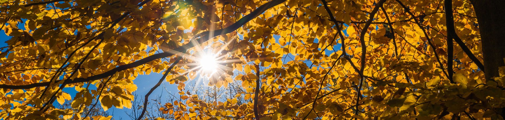 Herbst im Schneebergland, © Wiener Alpen, Martin Fülöp