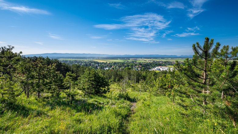 Blickplatz Blumberg, © Wiener Alpen, Christian Kremsl