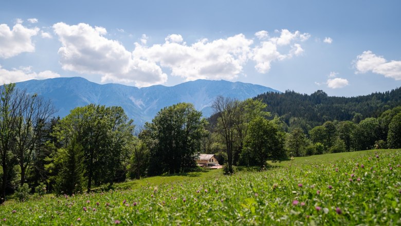 Schneeberg, © Claudia Schlager