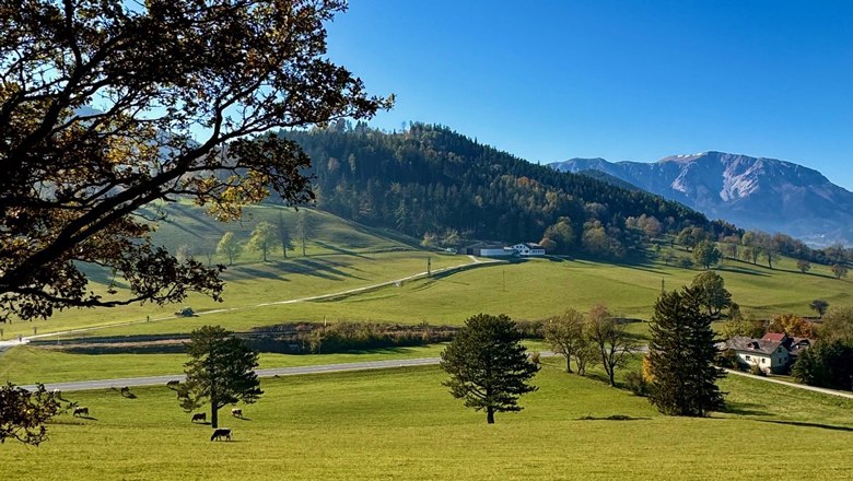 Landschaft Herbstkulisse 