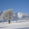 Ferienwohnung Schneebergblick, © Familie Zwinz