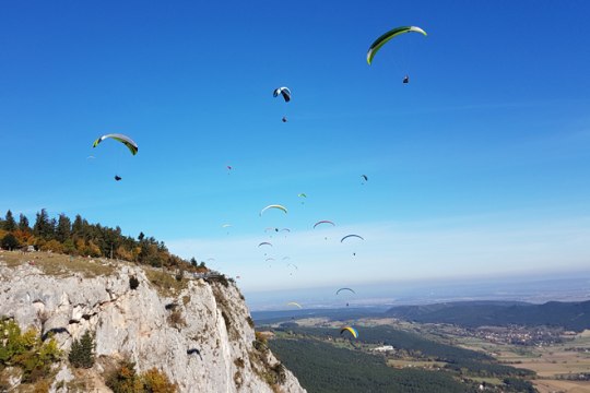 viele Paragleiter in der Luft vor der Hohen Wand 