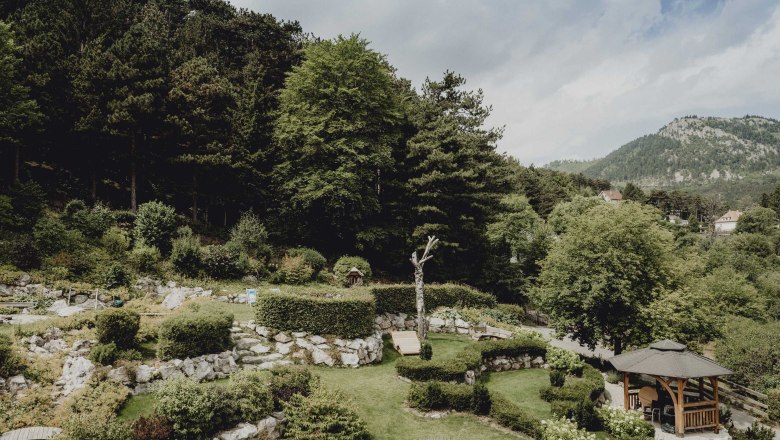 6.000 Quadratmeter großer Alpengarten, © Niederösterreich Werbung/Rita Newman