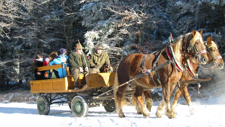 Pferdekutschenfahrt in winterlicher Landschaft