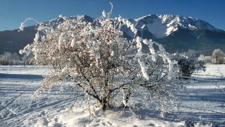 Schneebergblick vom Gasthof aus, © Gasthof Schmirl