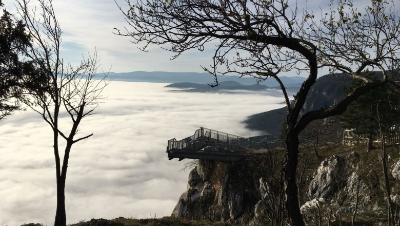 Blick ins Nebelmeer, © Naturpark Hohe Wand