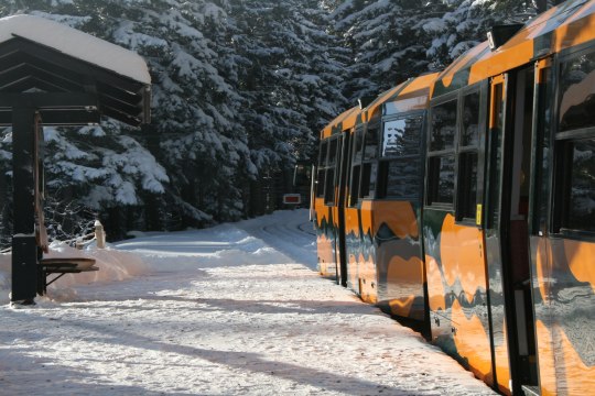 Salamander bei der verschneiten Station Hengsthütte