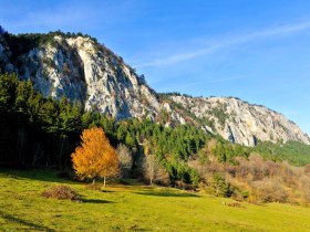 Hohe Wand, © ©POV, Foto Robert Herbst