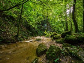 Johannesbachklamm, © Wiener Alpen in Niederösterreich