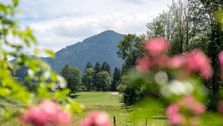 Ferienhaus Schlager, © Claudia Schlager