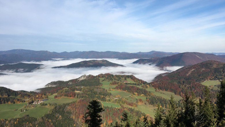 Blick ins Nebelmeer, © Naturpark Hohe Wand