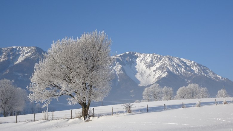 Ferienwohnung Schneebergblick, © Familie Zwinz