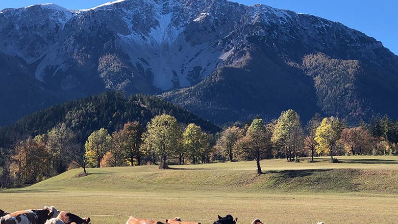 Schneeberg, © Angelika Burger