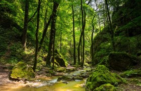 Johannesbachklamm Würflach, © Wiener Alpen in Niederösterreich - Schneeberg Hohe Wand