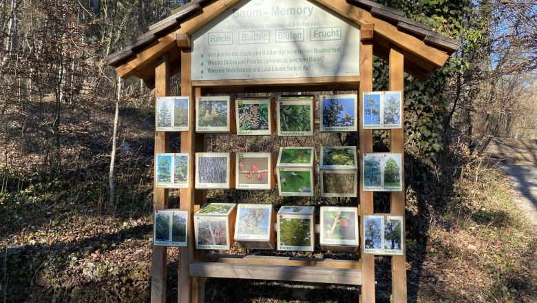 Waldlehrpfad, © Wiener Alpen