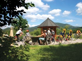 Piestingtal Radweg, © Wiener Alpen in Niederösterreich