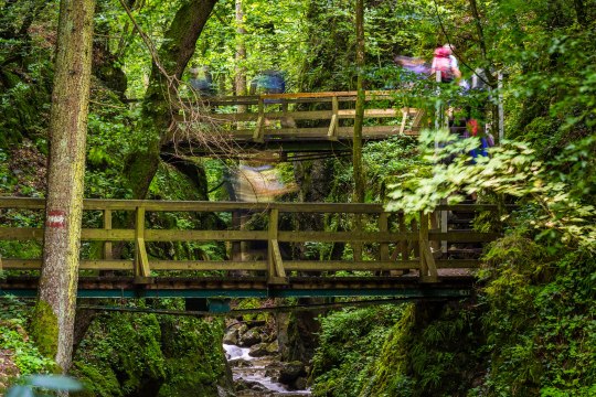 Die Johannesbachklamm, © Wiener Alpen, Kremsl